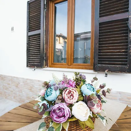 Arci Loft *